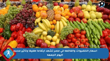 أسعار الخضروات والفاكهة في مصر تشهد ارتفاعا طفيفا وتأثير محدود اليوم الجمعة